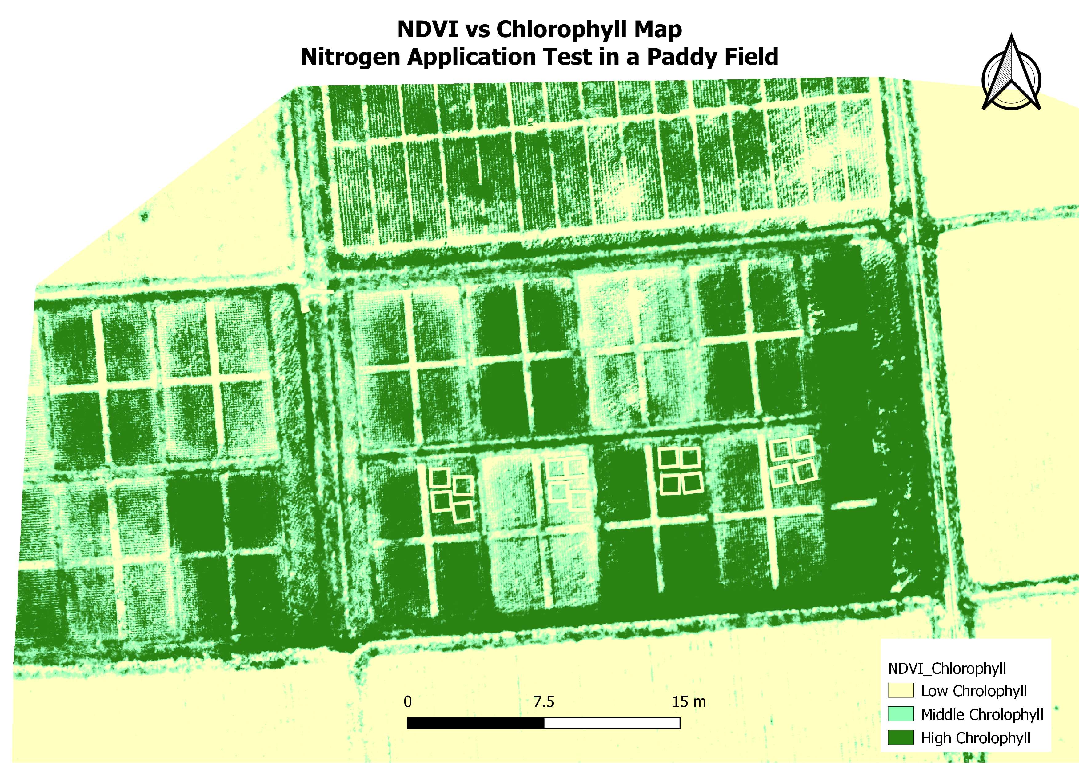 NDVI Map 2021